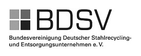 BDSV Logo